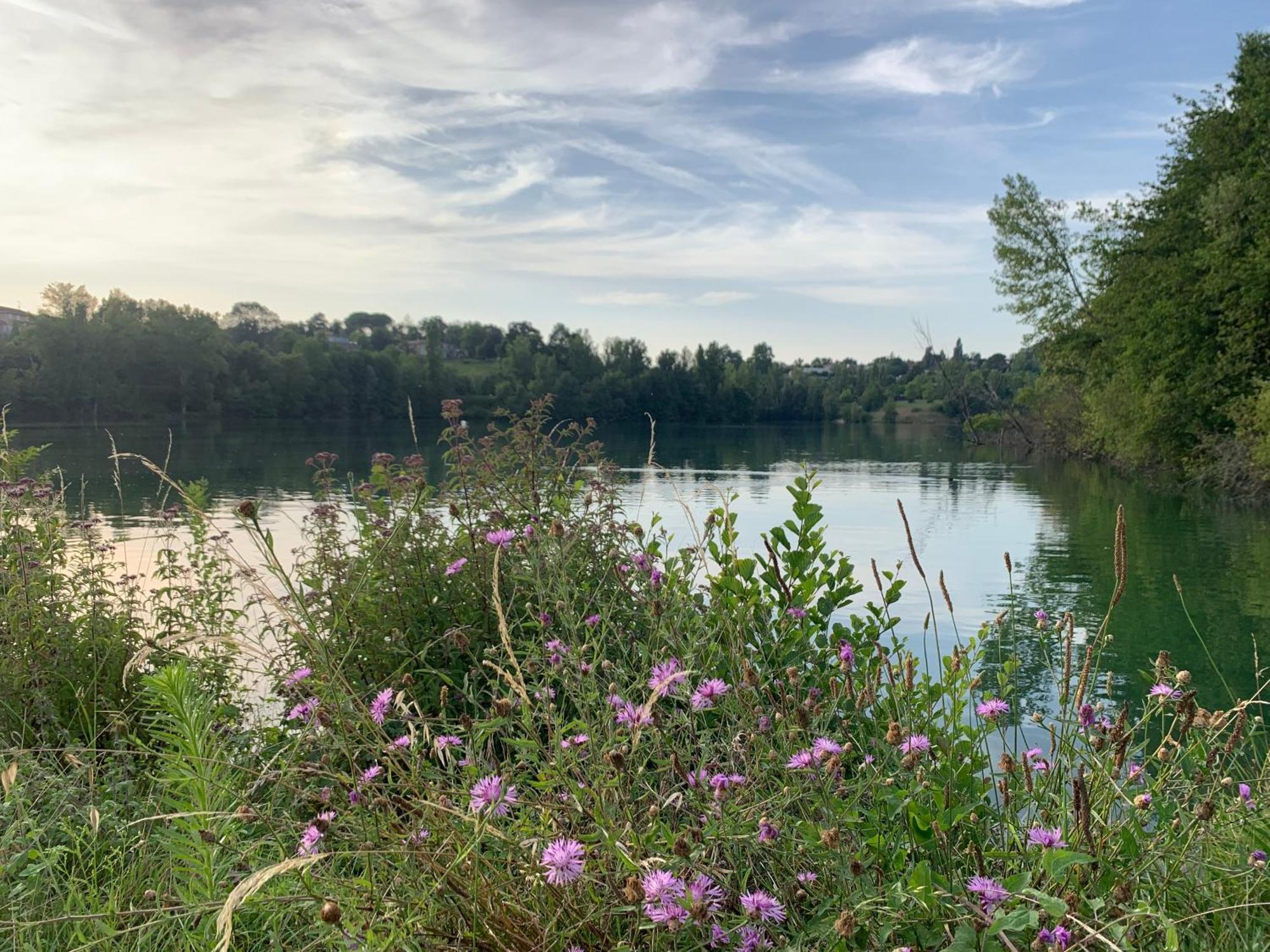 Terres De France - Les Hameaux Des Lacs Monclar-de-Quercy エクステリア 写真